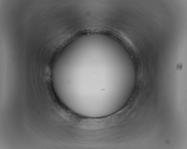 X0000091070025200708201420