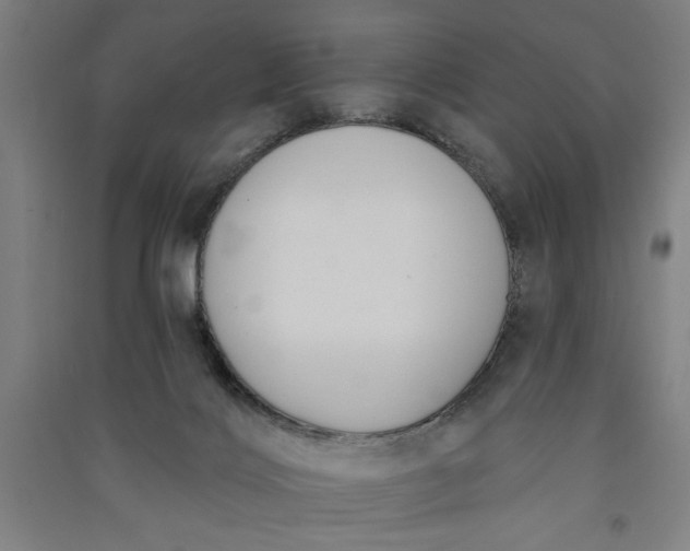 X0000091070028200708201420