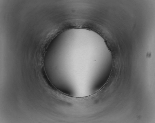 X0000091070031200708201420