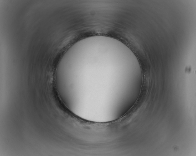 X0000091070032200708201420