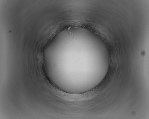 X0000091070034200708201420