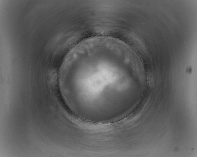 X0000091070036200708201420