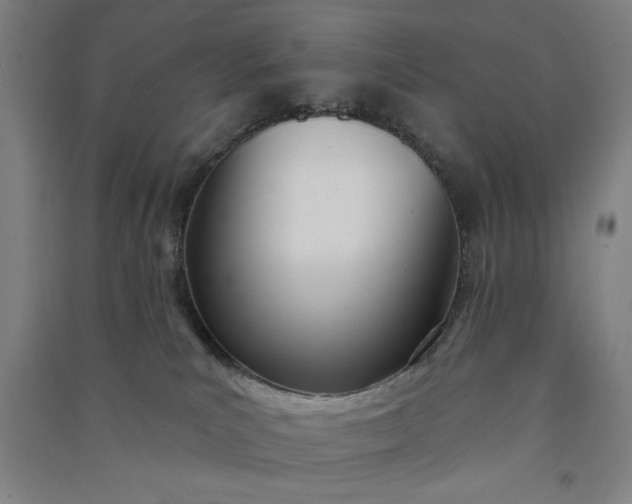 X0000091070039200708201420