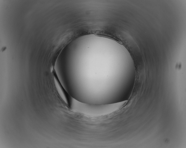 X0000091070041200708201420