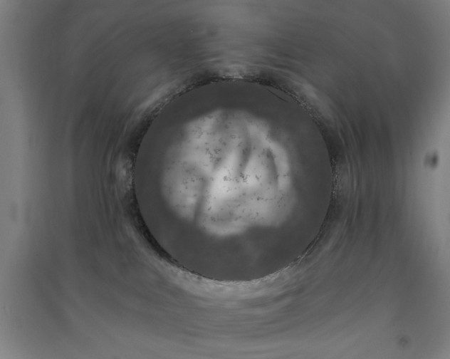 X0000091070043200708201420