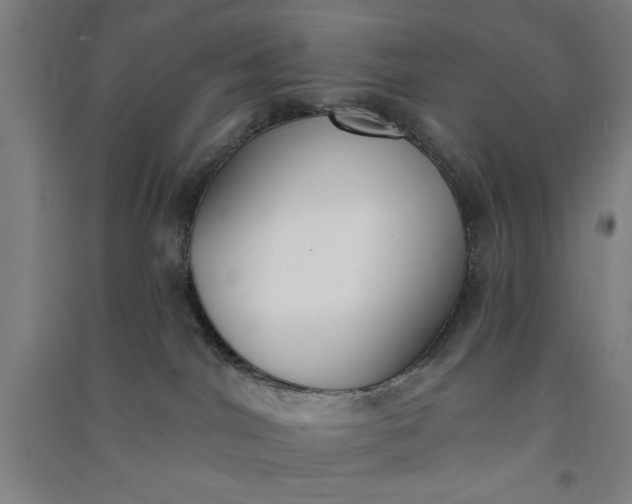 X0000091070044200708201420