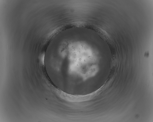 X0000091070047200708201420