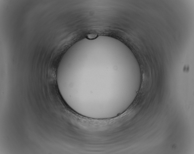 X0000091070048200708201420