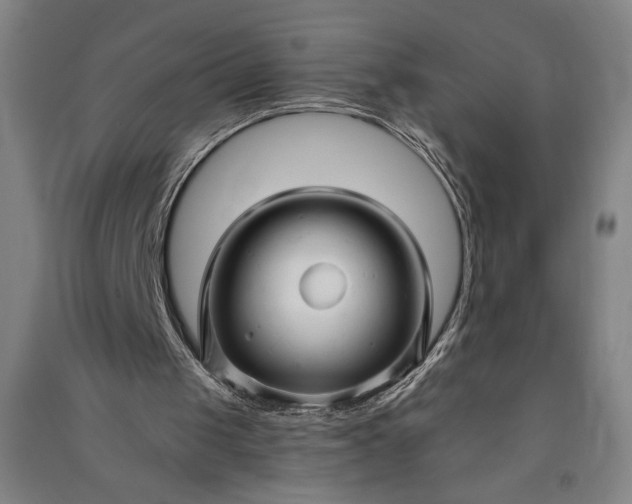 X0000091070049200708201419