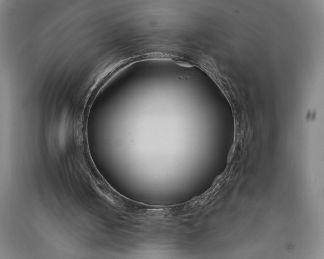 X0000091070050200708201419