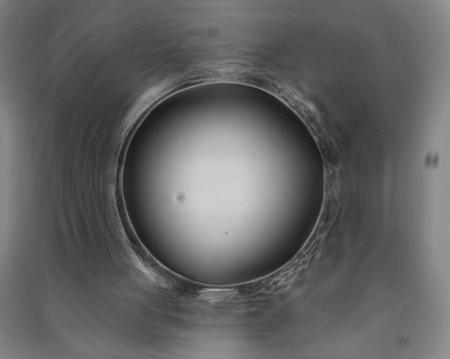 X0000091070051200708201419