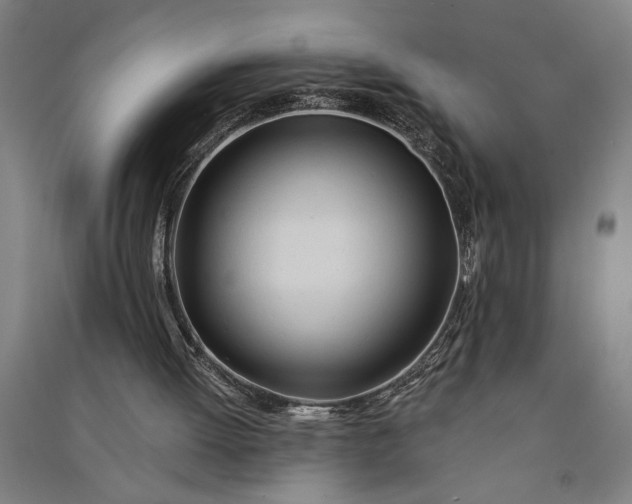 X0000091070052200708201419