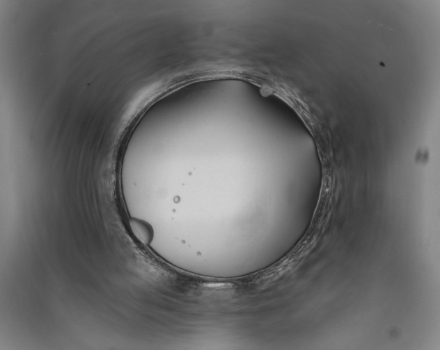 X0000091070053200708201419