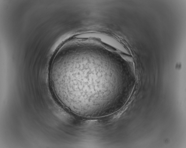 X0000091070054200708201419