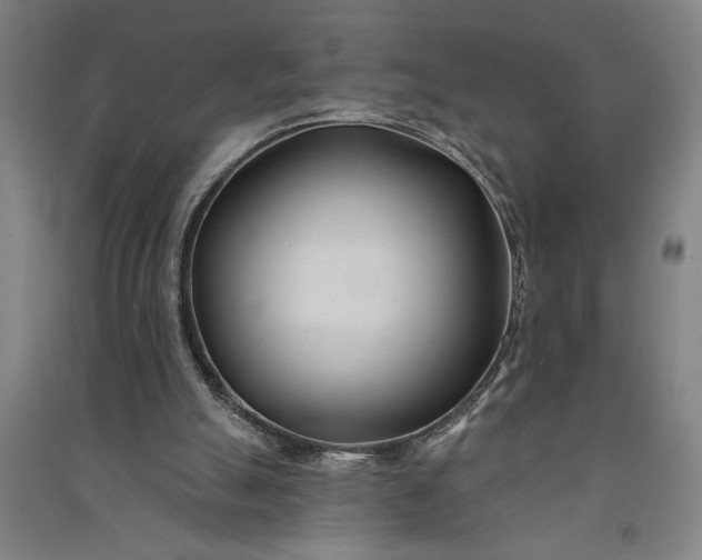 X0000091070055200708201419