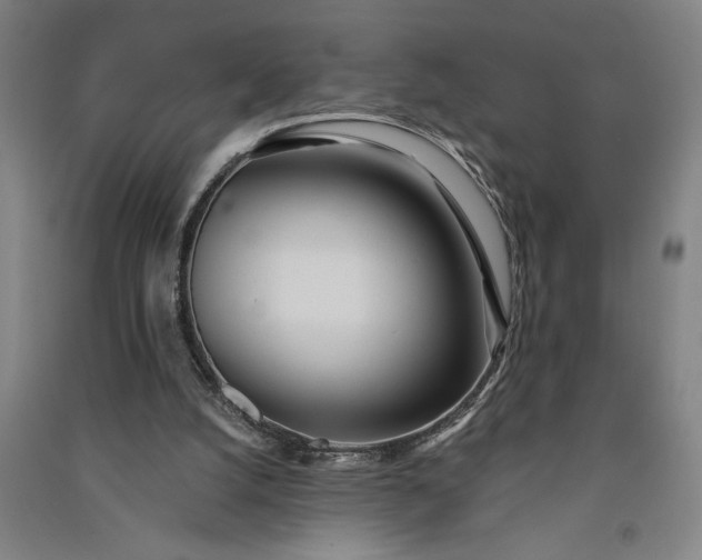 X0000091070056200708201419