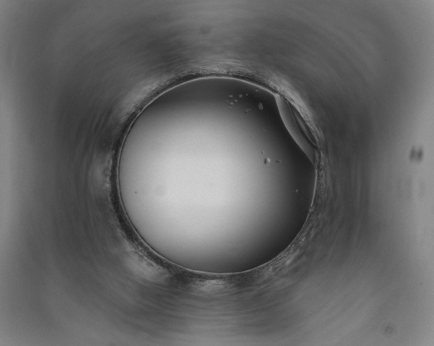 X0000091070058200708201419