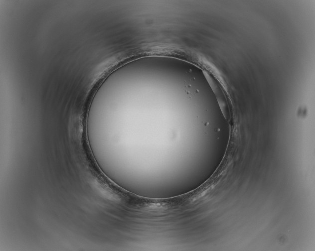 X0000091070059200708201419