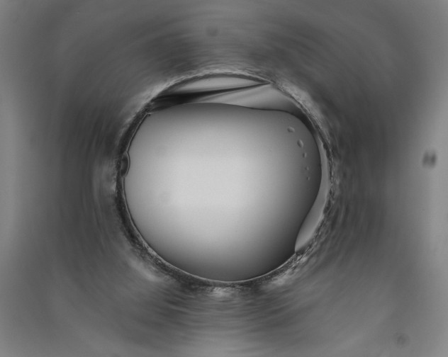 X0000091070060200708201419