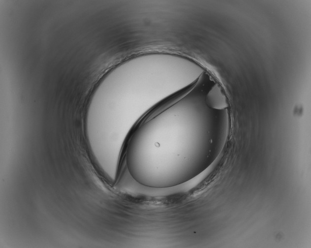 X0000091070061200708201419