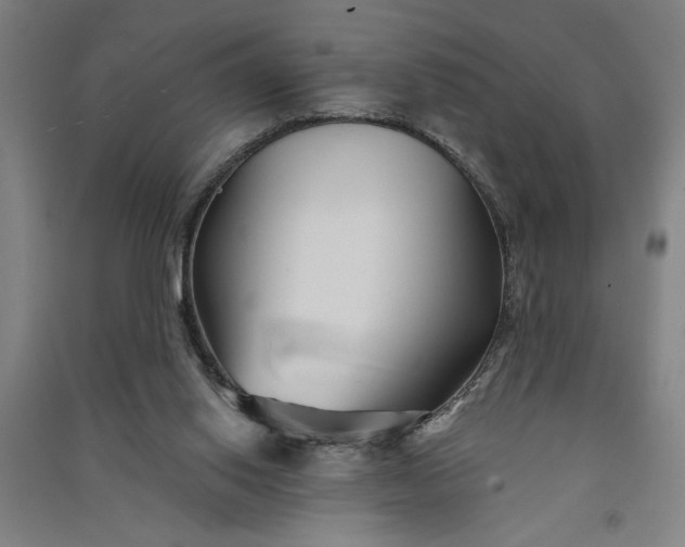 X0000091070062200708201419