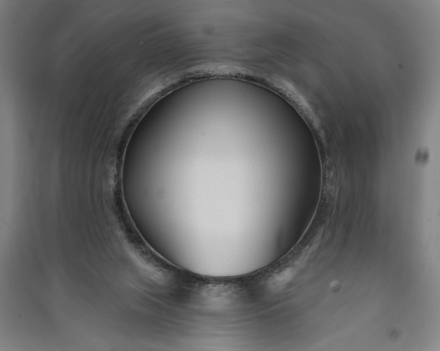 X0000091070063200708201419