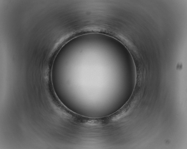 X0000091070064200708201419