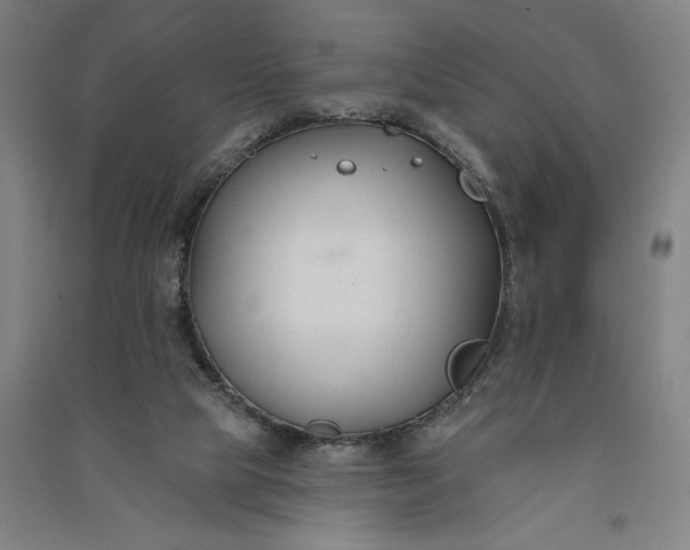 X0000091070065200708201419