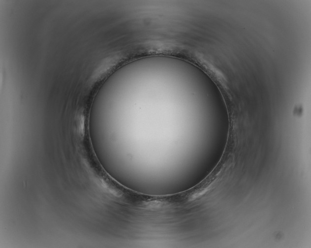 X0000091070067200708201419