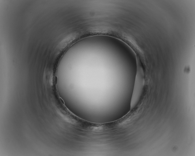 X0000091070068200708201419