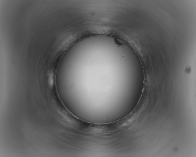 X0000091070069200708201419