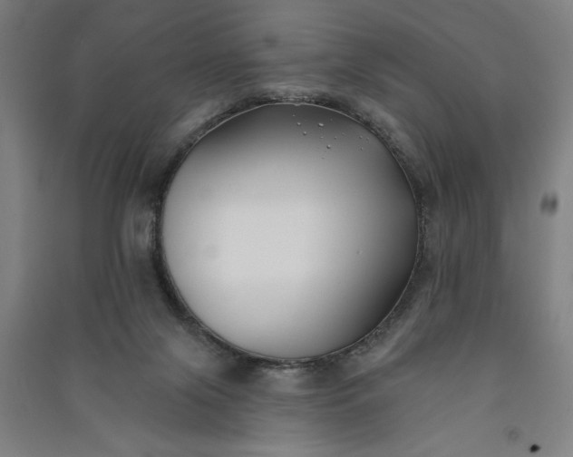 X0000091070071200708201419