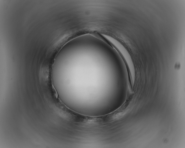 X0000091070072200708201419