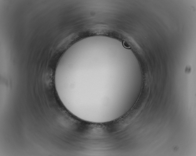 X0000091070073200708201419