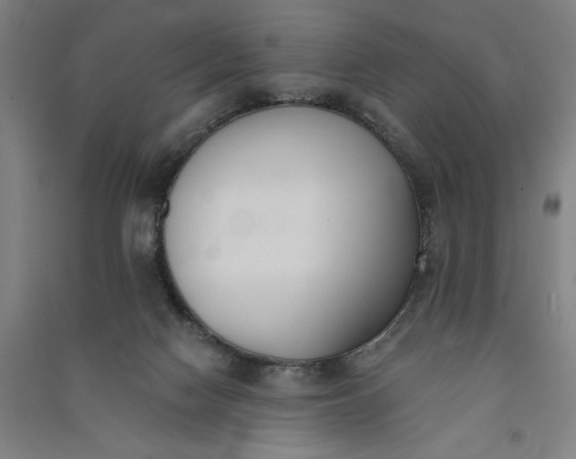 X0000091070074200708201420