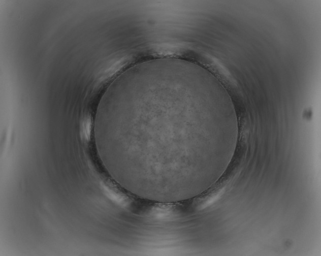 X0000091070076200708201420