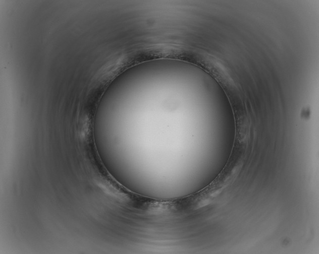 X0000091070077200708201420