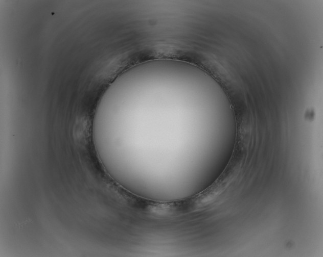 X0000091070079200708201420