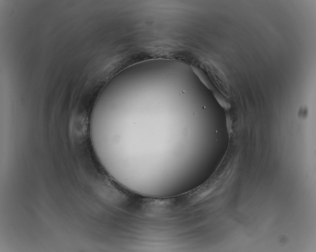 X0000091070081200708201420