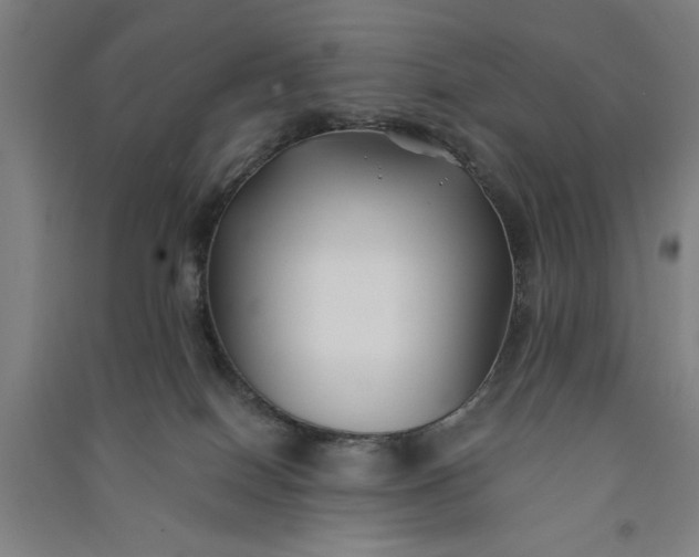 X0000091070086200708201420