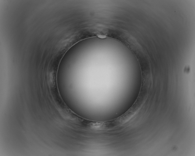 X0000091070088200708201420