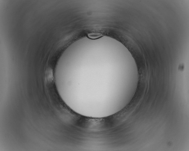 X0000091070089200708201420