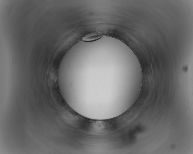 X0000091070091200708201420