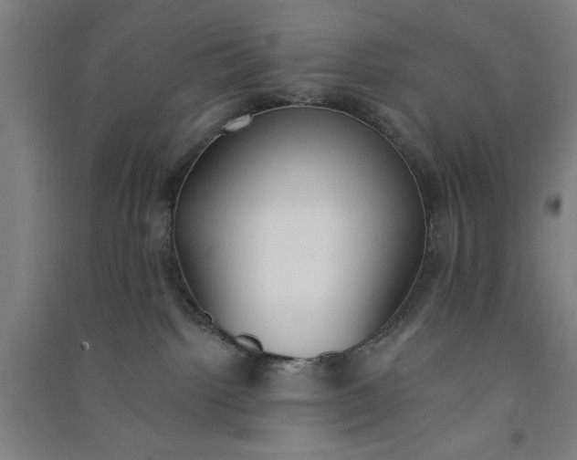 X0000091070092200708201420