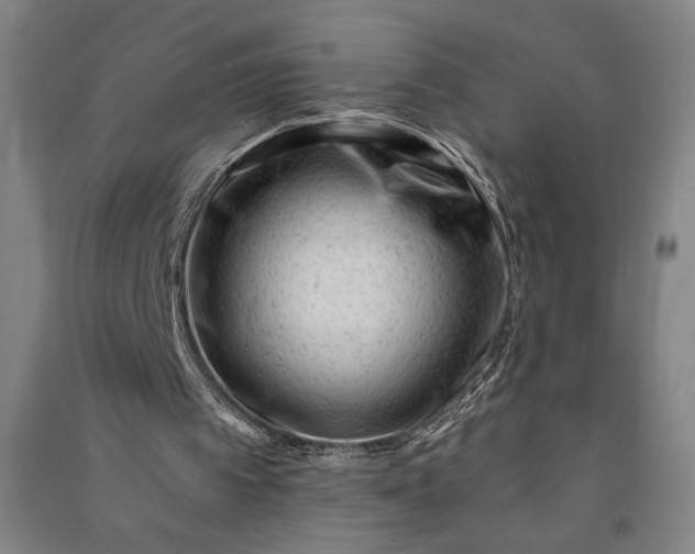 X0000091070097200708201419