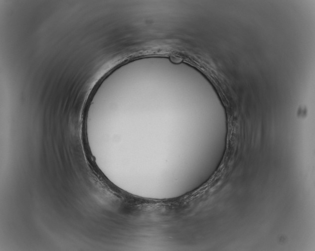 X0000091070100200708201419