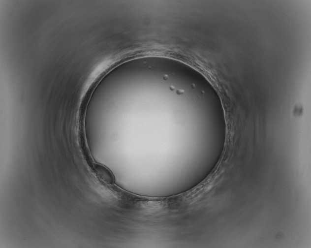 X0000091070102200708201419