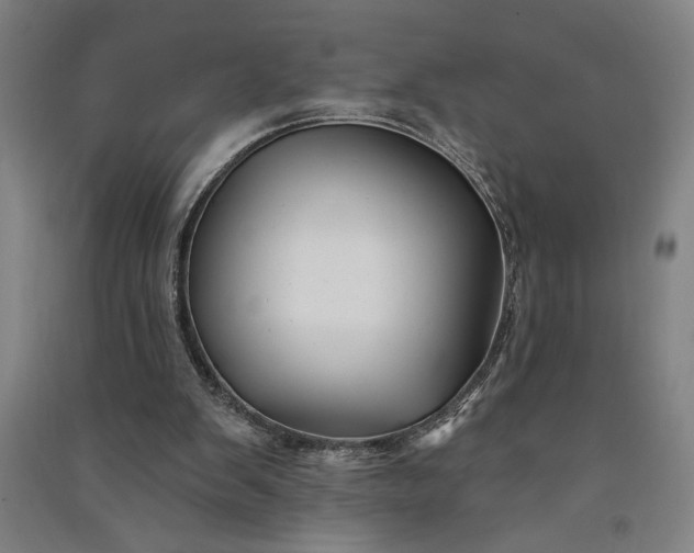 X0000091070103200708201419