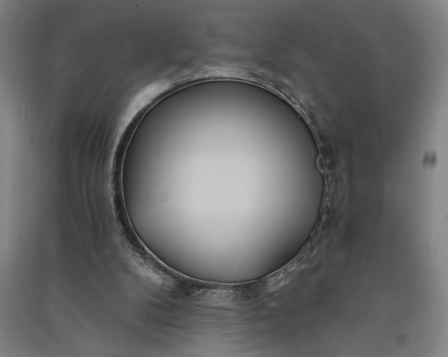 X0000091070104200708201419