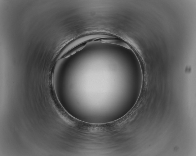 X0000091070105200708201419